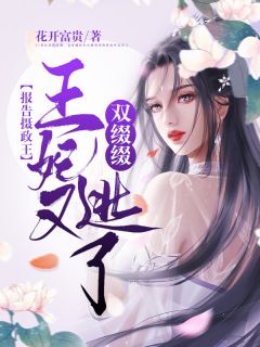 大明：张无忧